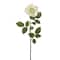 16 Pack: Ivory Princess Rose Stem by Ashland®
